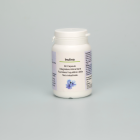 Personalized Preparations prebiotic Inulin